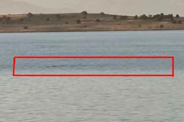 Son dakika: Van Gölü'nde korkutan görüntü: Yıllar sonra geri geldi! Yaklaşık 20 metre uzunluğunda...-5