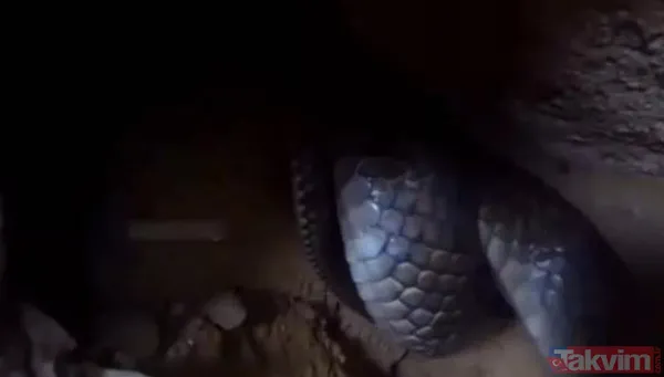 Duvarın içinden gelen seslerden ilallah etti sonunda paramparça etti! Gördükleri karşısında kalbi yerinden çıkacaktı - 6