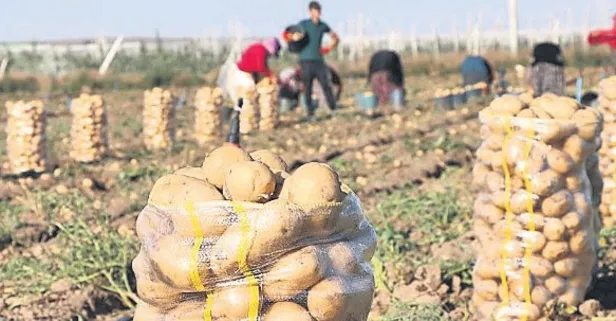 Öğrencilerin bursu topraktan geliyor