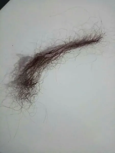 Seren Serengil'in darbettiği iddia edilen Özbekistan uyruklu yardımcısı hakkında son dakika gelişmesi!-2