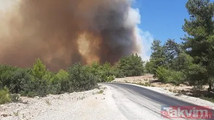 Antalya Manavgat’ta yangın felaketi! A Haber olay yerinde: Bölgede nefes almakta güçlük çekiyoruz