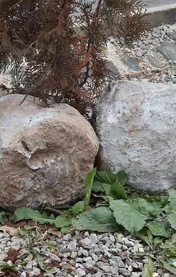 DEAŞ sivilleri böyle katlediyor