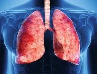 Akciğerleri temizleyen 6 besin