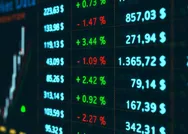 Reeder Teknoloji halka arz kaç lot veriyor? REEDER HALKA ARZ TARİHİ | SPK duyurdu: HAT-SAN, ADGYO...