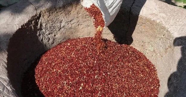 Bir tutam sumak diyabeti önler