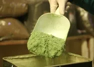 Kına koronavirüsü önlüyor mu? O iddianın ardından talep patlaması!