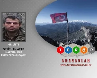 Gri listedeki hain öldürüldü