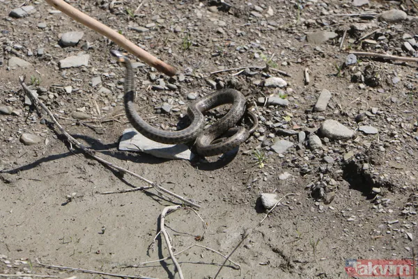 Hakkari Yüksekova'da evlerini yılanların istila etmesi üzerinde yeni ev yapılan aile rahatladı - 17