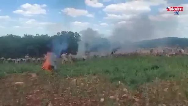 SON DAKİKA! Diyarbakır'da 1017 personelle dev operasyon! PKK'nın finansman kaynağı kurutulacak