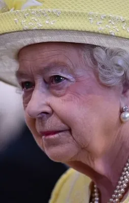 Farkında olmadan itiraf ettiler