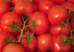 Hormonlu gıdalara ’helal’ değil açıklaması