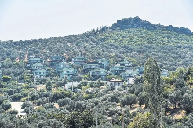 CHP'nin yeşili koruma anlayışı: Kesilen ağaçlara tepki gelince villaları yeşile boyadılar