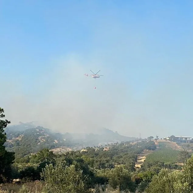 Çanakkale’de orman yangını