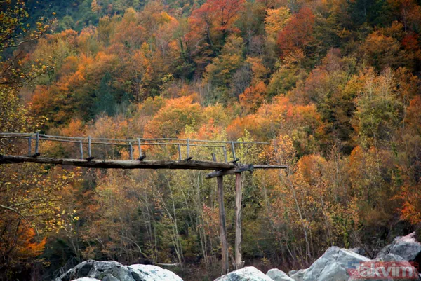 Dünyanın en derin ikincisi! Kastamonu'da büyüleyici manzara! Loç Vadisi ziyaretçilerini bekliyor - 16
