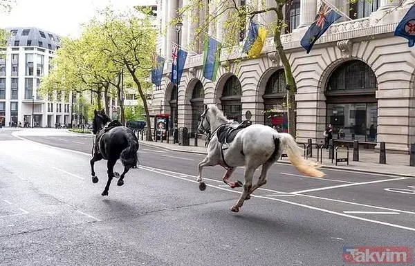 Öfkeli beş Kraliyet atı Londra’yı birbirine kattı! Kaçak atlardan biri sabıkalı çıktı: Kral Charles’ın taç giyme töreninde kafaya tekme - 1