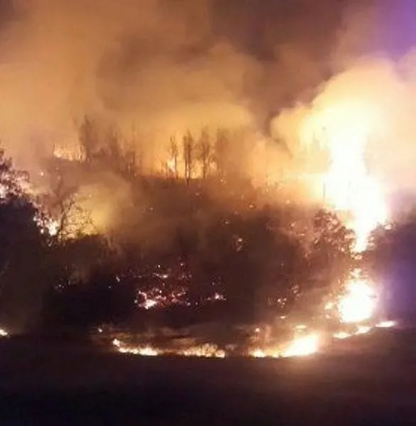 Yangın bölgelerinden son dakika haberi: 238 yangının 231’i kontrol altına alındı-14