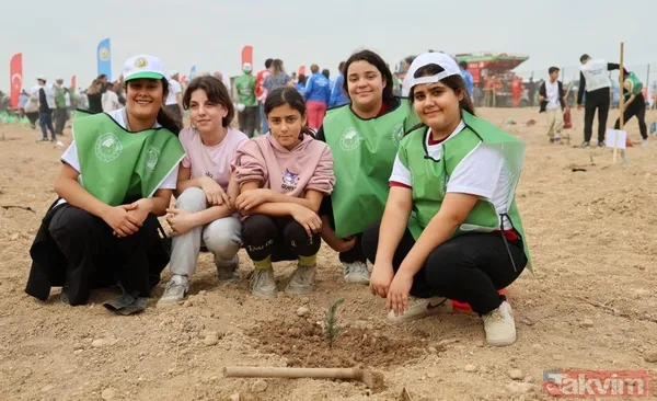 Samsun'da, 19 Bölgede 37 Bin 380 Fidan Toprakla Buluştu. İlkadım İlçesindeki T Tipi Kapalı Cezaevi Yanında Bulunan Ağaçlandırma Alanında 11 Kasım Milli...
