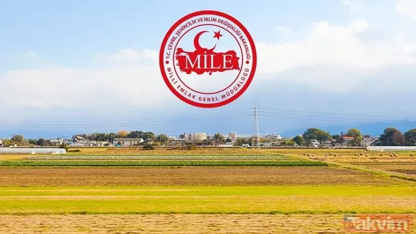 Arazi Gümüşhane / Merkez 17/07/2025 166,00 309.930 Tarla Eskişehir / Alpu 23/07/2025 368,83 19.000 Bağ-Bahçe Samsun / Havza 28/07/2025 249,36 20.000 Tarla...