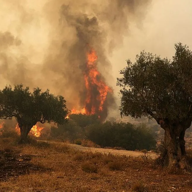 Yunanistana orman yangınlarıyla boğuşuyor! Türkiyeden yangın söndürme uçağı ve helikopter desteği