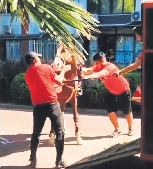 sariyerde-iki-grup-arasinda-cikan-silahli-catismada-1i-agir-6-kisi-yaralandi-yasam-haberleri-1662935753821.jpeg Sarıyer'de iki grup arasında çıkan silahlı çatışmada 1'i ağır 6 kişi yaralandı | Yaşam haberleri-2