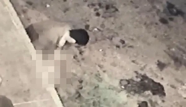SON DAKİKA: Sakarya'da iğrenç olay: Köpeğe taciz güvenlik kamerasında-3
