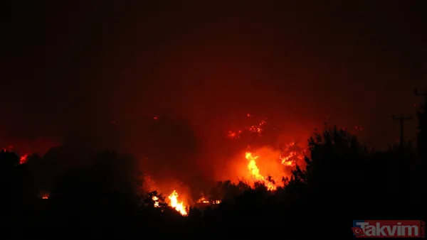 Antalya Manavgat'ta yangın felaketi! Acı haber geldi: 3 kişi hayatını kaybetti - 38
