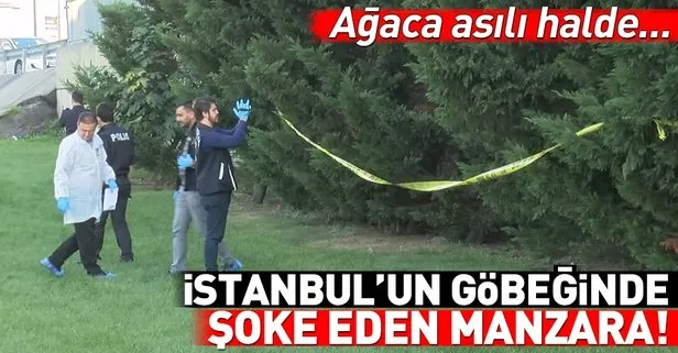 İstanbul’un göbeğinde şoke eden manzara! Ağaca asılı halde bulundu...