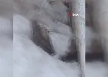 Tunceli'de 'beyaz gelincik' görüntülendi