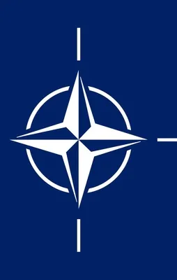 FETÖ'cü askerlerden iltica başvurusu!