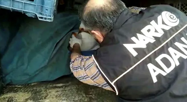 Sebze kasalarına gizlenen 113 kilo esrarı 'Uzi' buldu-2