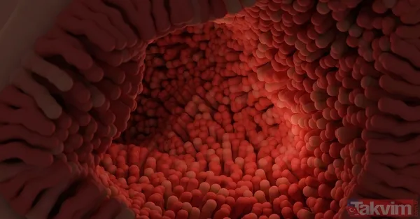 Fotoğraflar X ve Takvim Fotoğraf Arşivi'nden alınmıştır.