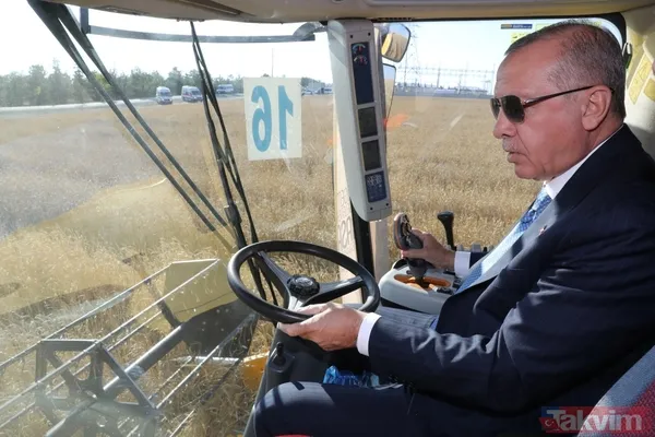 Başkan Erdoğan biçerdöverde buğday hasatı yaptı - 1
