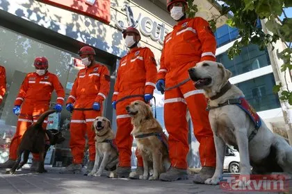 Jandarma Arama Kurtarma ekibindeki köpekler, hassas burunlarıyla enkaz altındakileri hayata bağlıyorlar