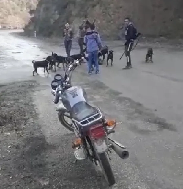 Yaraladıkları yavru domuzu av köpeklerine parçalatan avcılar cezadan kaçamadı! Denizli'de tepki çeken görüntü-3