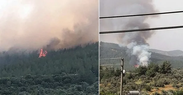 Muğla Milas ve Kütahya Çavdarhisar’da ormanlık alanda yangın!