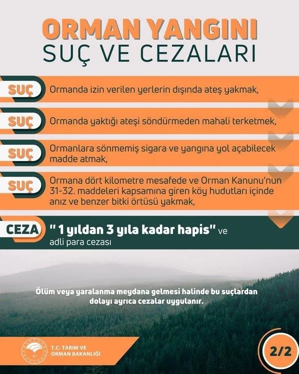 Ciğerlerimiz yandı: Tarım ve Orman Bakanı İbrahim Yumaklı duyurdu: "10 günde 40 ilde 203 orman yangını"-4