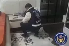 22 ilde borsa dolandırıcılarına operasyon: 29 şüpheli tutuklandı