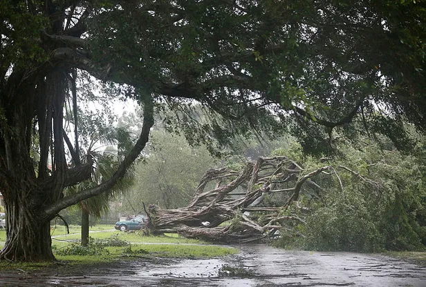 Beklenen Irma Kasırgası Florida'ya ulaştı-1