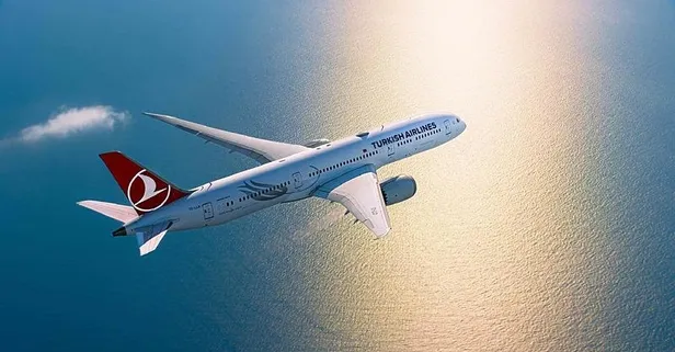 ABD’den THY’ye övgü! Ayağa kalkana ceza uygulamasına medyada, sosyal medyada destek yağdı