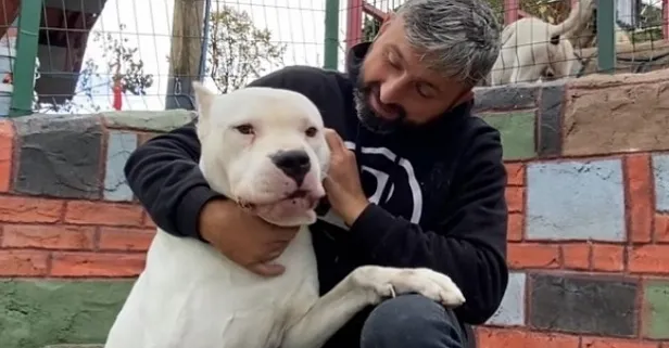 Recep Bayraktar kimdir? Recep Bayraktar köpekleri cinsi nedir?