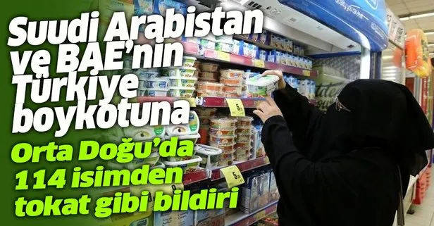 Orta Doğu'da 114 aktivistten Türkiye'ye destek