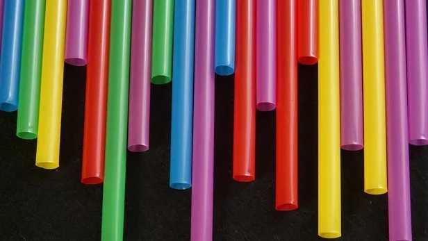 AB Konseyi'nden tek kullanım plastik ürünlere yasak-2