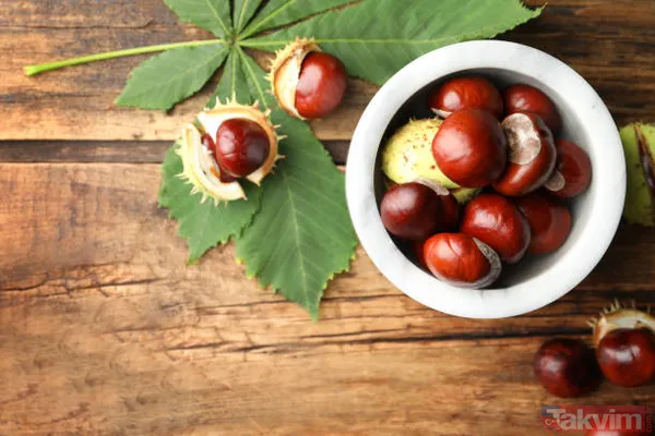 Mucizevi at kestanesi ile tüm hastalıklara savaş açın! Her derde şifa! Ağrıları bıçak gibi kesiyor! - 21