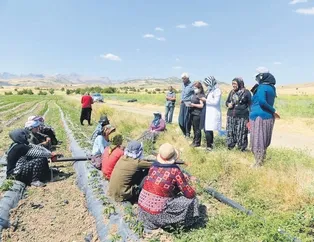 Aşırı güvendeyiz