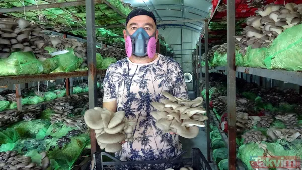 Emekli astsubay hobi olarak başladığı istiridye mantarı yetiştiriciliğinden yılda 520 bin lira kazanıyor - 4