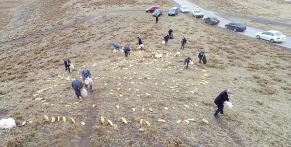 erzurum-esnafi-2020de-yasanan-felaketlerin-2021de-yasanmamasi-icin-dogaya-2001-ekmek-birakti-1605168111131.jpg Erzurum esnafı, 2020'de yaşanan felaketlerin 2021'de yaşanmaması için doğaya 2001 ekmek bıraktı-5