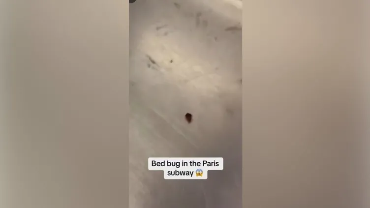 Paris’te tahtakurusu istilası!