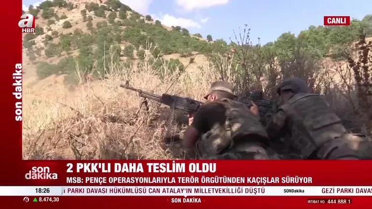 MSB açıkladı: 2 PKK'lı daha teslim oldu!