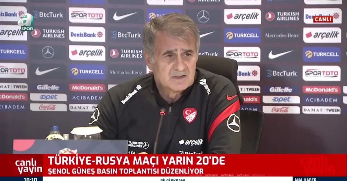 A Milli Takım Teknik Direktörü Şenol Güneş'ten 'Domagoj Vida' açıklaması: İlgili yerlere başvuru yaptık