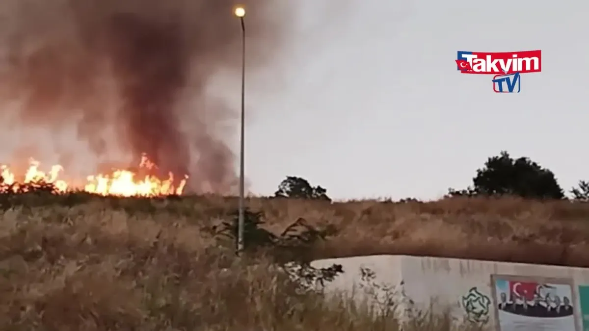 Tekirdağ'da Çırçır Tepesi'nde yangın çıktı!